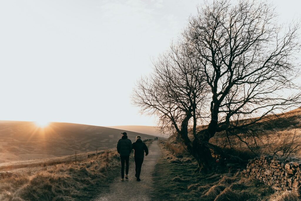 Two people walking along a rural path beside a large leafless tree.